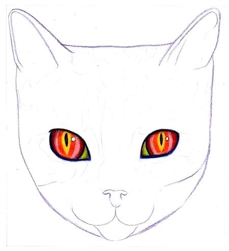 450x492 How To Draw Cat Face Draw Cat Face Easy