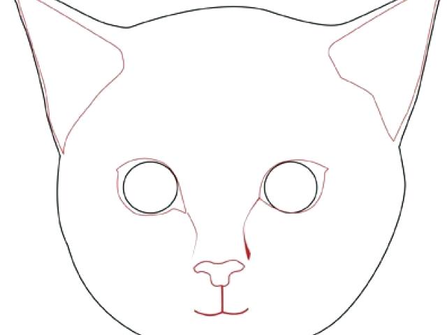 640x480 Cat Face Drawing