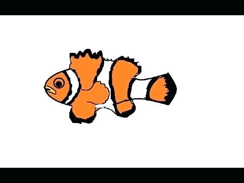 480x360 How To Draw Clown Fish Easy Steps To Draw A Clownfish