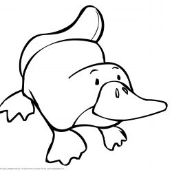 250x250 Cool Easy Cartoon Drawings Clown Dragon Colorful Awesome