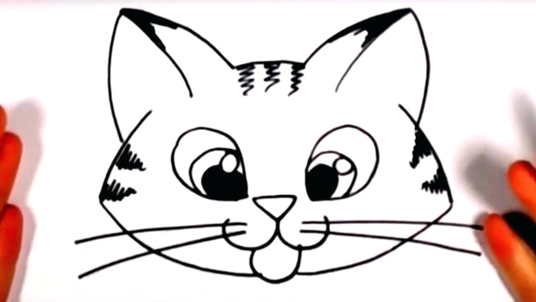 1084x610 Easy To Draw Animal Faces