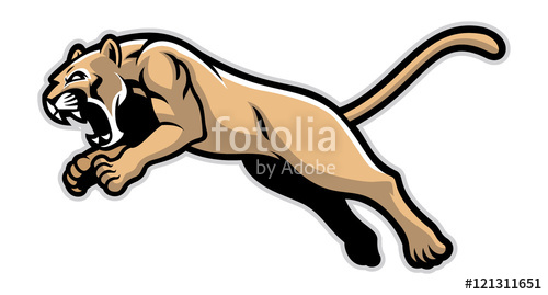 500x269 Jumping Cougar Mascot Stock Image And Royalty Free Vector