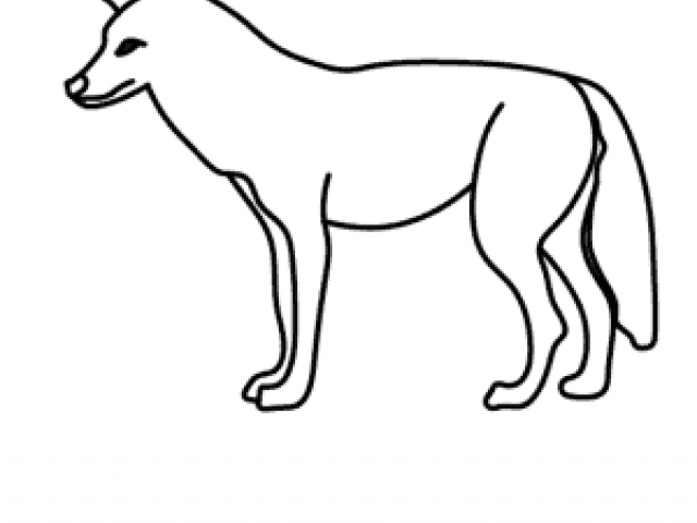 640x480 Free Drawn Coyote, Download Free Clip Art
