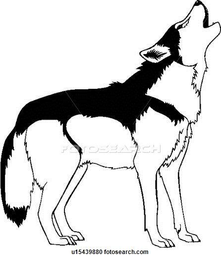 446x520 Coyote Drawings Clipart, Free Download Clipart