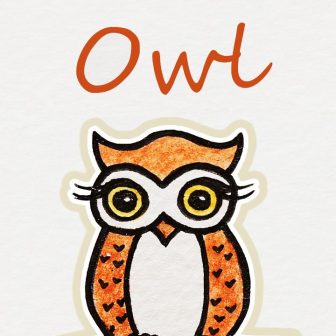 336x336 Owl Anatomy Drawing An Cute Flying Easy Step