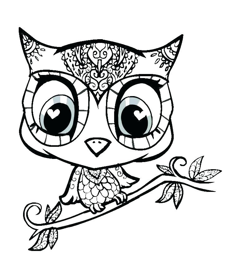 760x836 Owl Drawing Cute Running