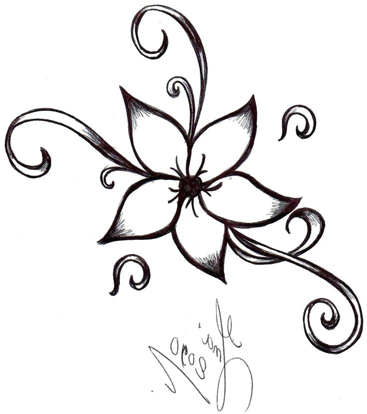 736x830 Flower To Draw Easy Step How To Draw A Daisy Draw Flower Step
