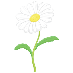250x250 How To Draw A Daisy Step