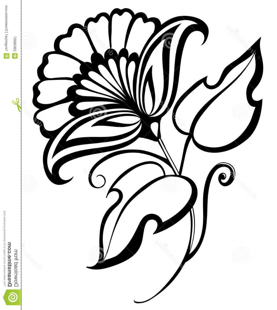 915x1024 Good Simple Flower Design Draw On Paper Easy Flower Designs