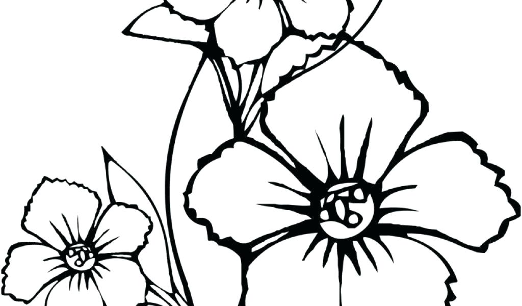 1024x600 princesses to draw belle disney princesses drawings step