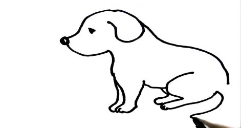 471x250 Puppy Cartoon Drawing Easy Cute Boxer Tutorial Labrador Beagle I