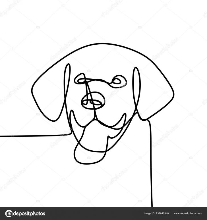 728x774 Dog Face Drawing Realistic Story Pitbull Free Cartoon Tutorial