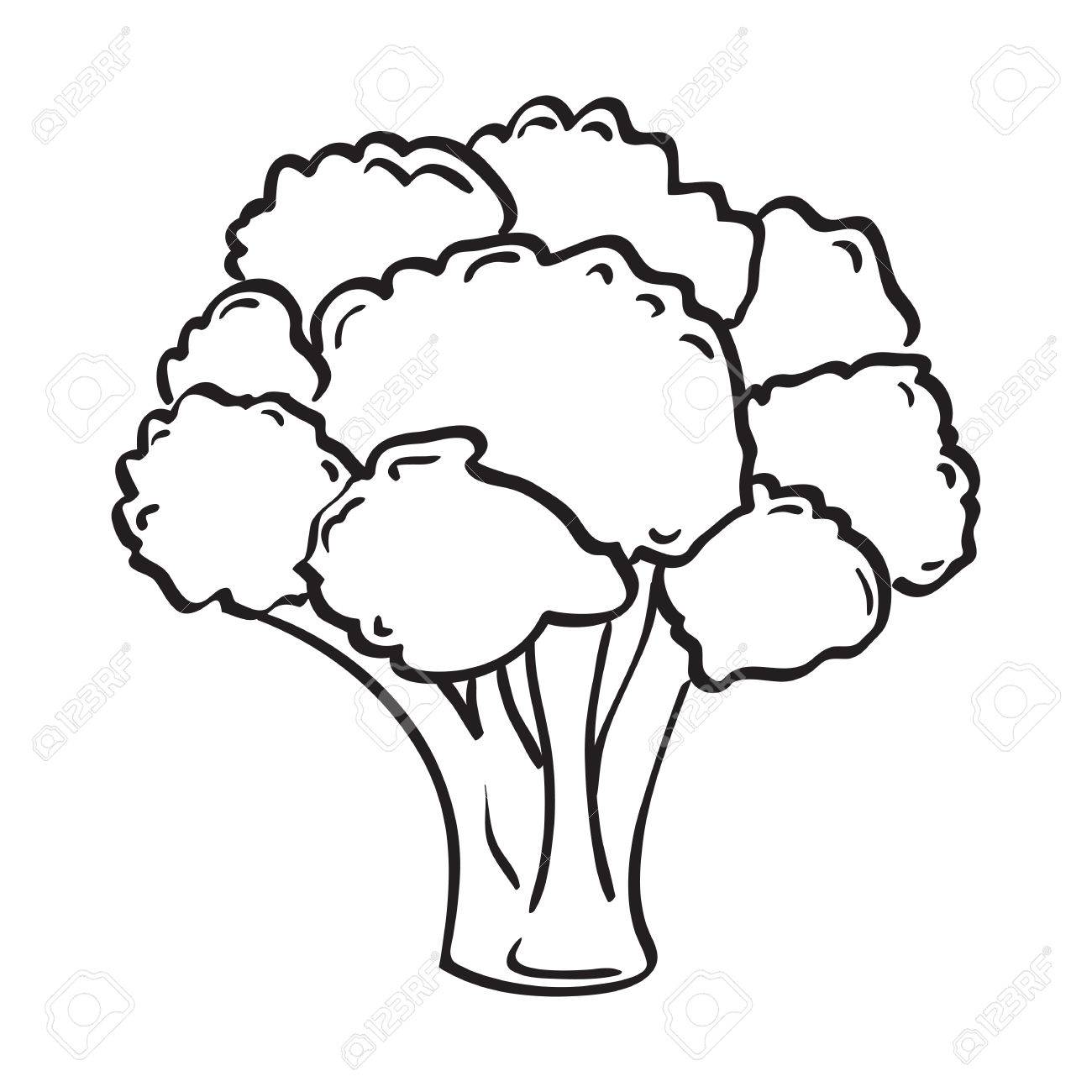 1300x1300 Broccoli Drawing Free Plant Easy Anime Girl Tumblr Step