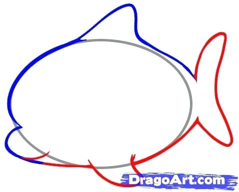 478x385 Drawing For Toddlers Step