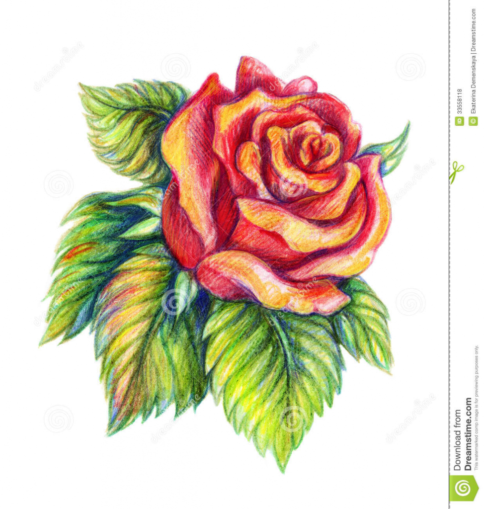 974x1024 Huge Collection Of 'flower Drawing Games' Download More Than