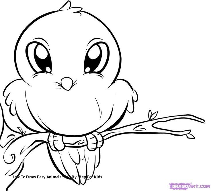 736x665 How To Draw Easy Animals For Beginners Crafts