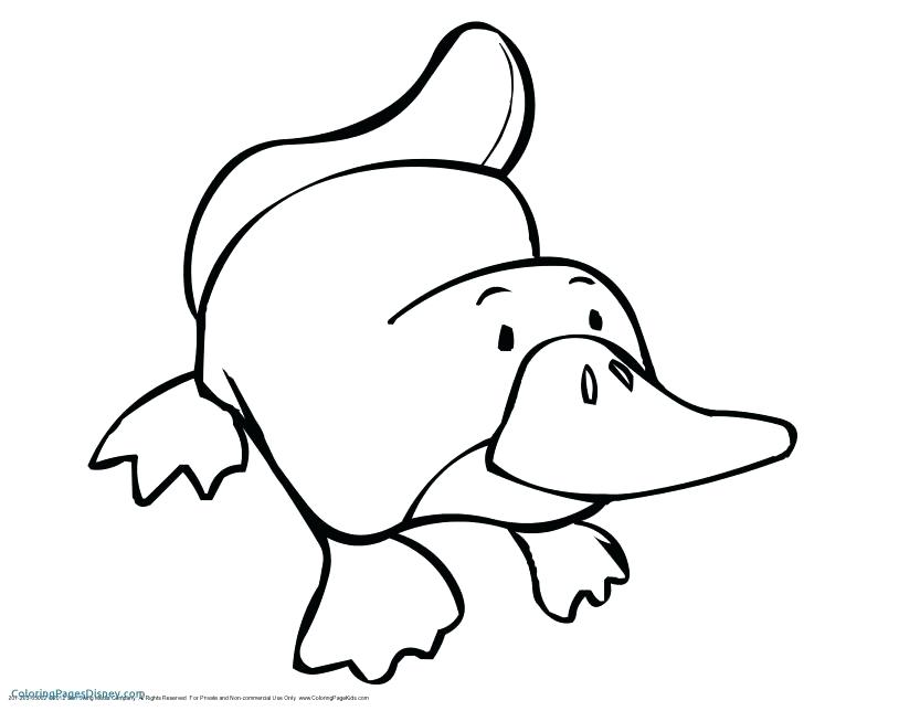 833x644 Drawing Ideas For Teenagers Architects Offenbach Of Intelligence