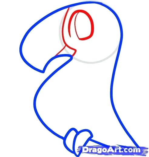 491x520 How To Draw A Toucan Step