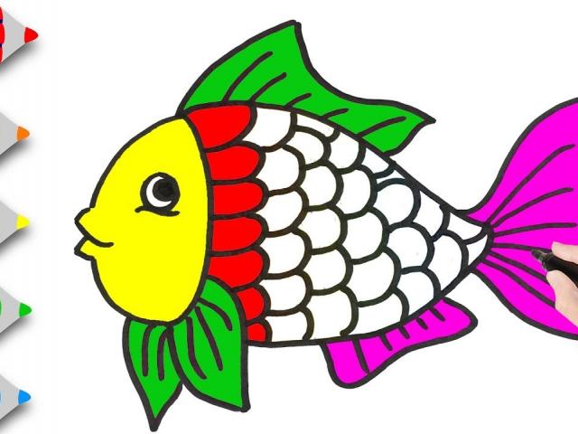 640x480 Free Coral Reef Clipart, Download Free Clip Art