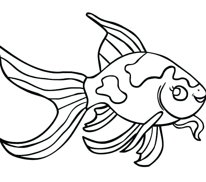 678x600 Images Of Simple Sword Template Fish Printable Drawing