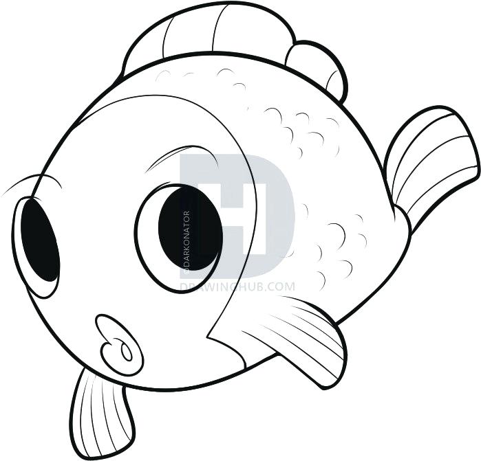 699x671 Easy Drawing Of Fish