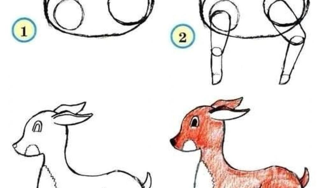 1024x600 Easy Drawings Of Zoo Animals Draw Wildlife Animals Art Drawings