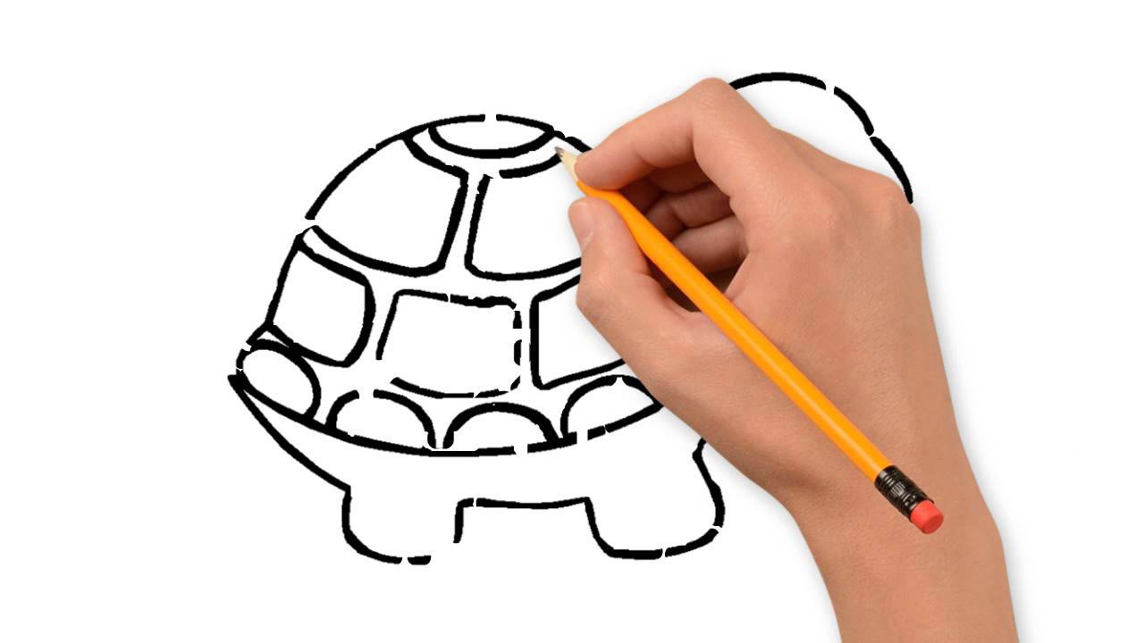 1280x720 Animals Animals Pencil To Draw Step