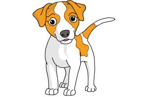 300x200 How To Draw A Dog