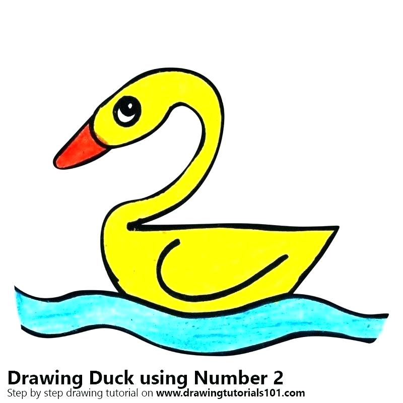 800x800 Duck Drawing For Kids Step