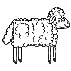 282x282 How To Draw Sheep Lambs With Easy Drawing Lesson