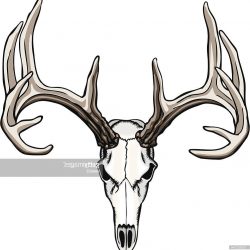 250x250 Reindeer Antler Dream Catcher Drawing Images Flowers Deer Easy