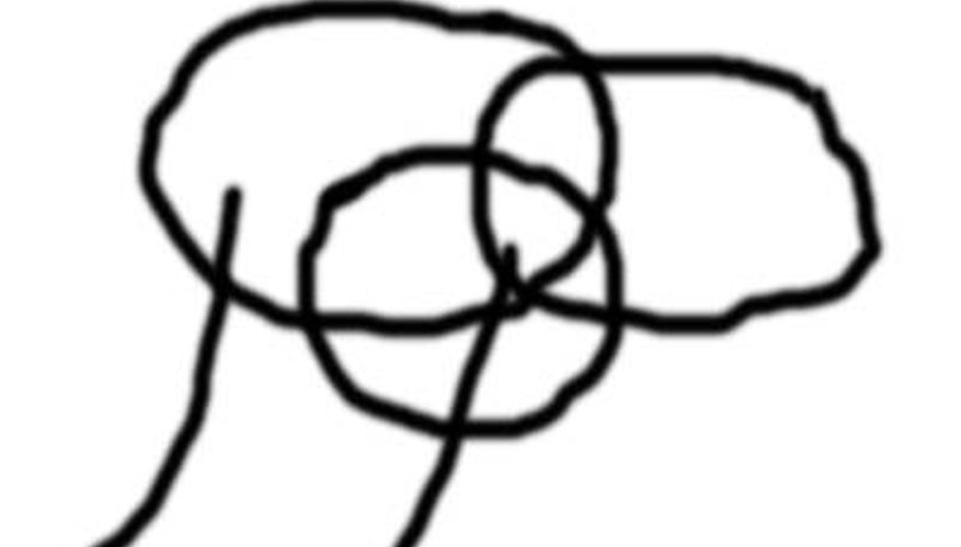 877x500 how to draw a camel face our pastimes