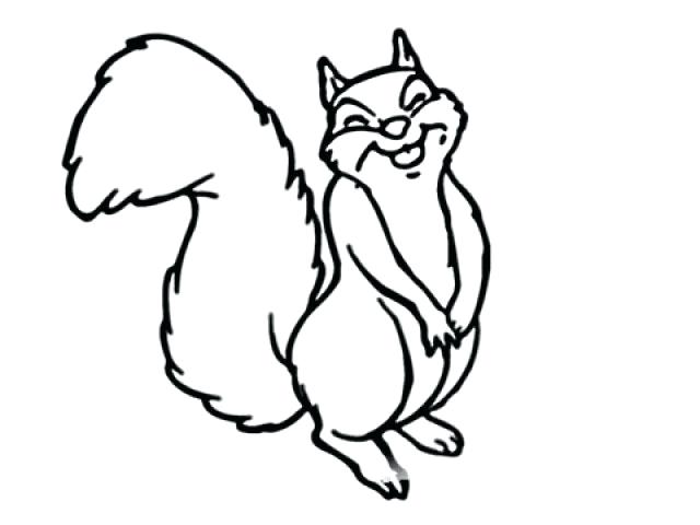 640x480 Easy Squirrel Drawing