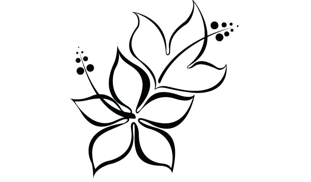 1024x600 easy flowers to draw for kids rose drawing connect the edges