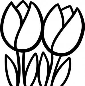 298x302 How To Draw Tullips For Kids Step Craftsdrawing Easy Flower
