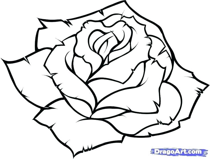 736x556 Easy Flower To Draw Easy Flower Drawings In Black And White