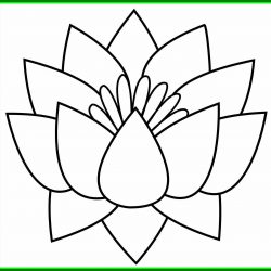 Easy Flowers Drawing Step By Step