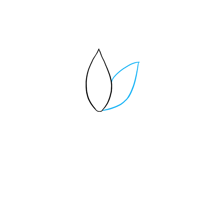 680x678 How To Draw A Lotus Flower