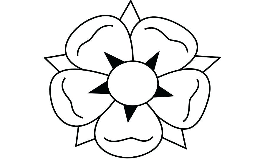 900x560 Images Of Flowers To Draw Pictures Easy Flowers Drawings Step