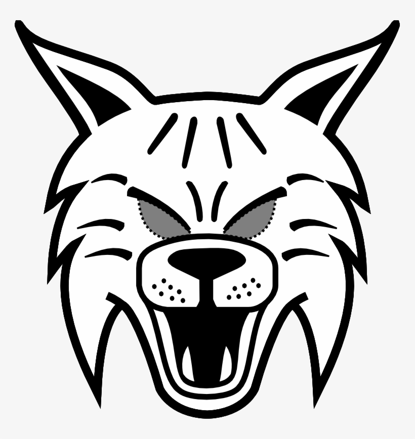 820x868 bobcats easy to draw for kids