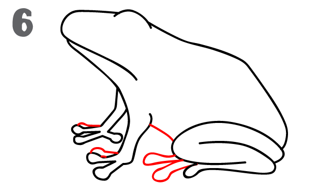 642x363 How To Draw A Frog