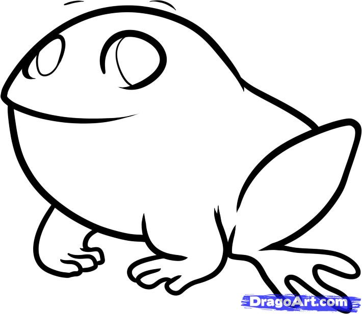 710x617 Draw A Frog For Kids, Step