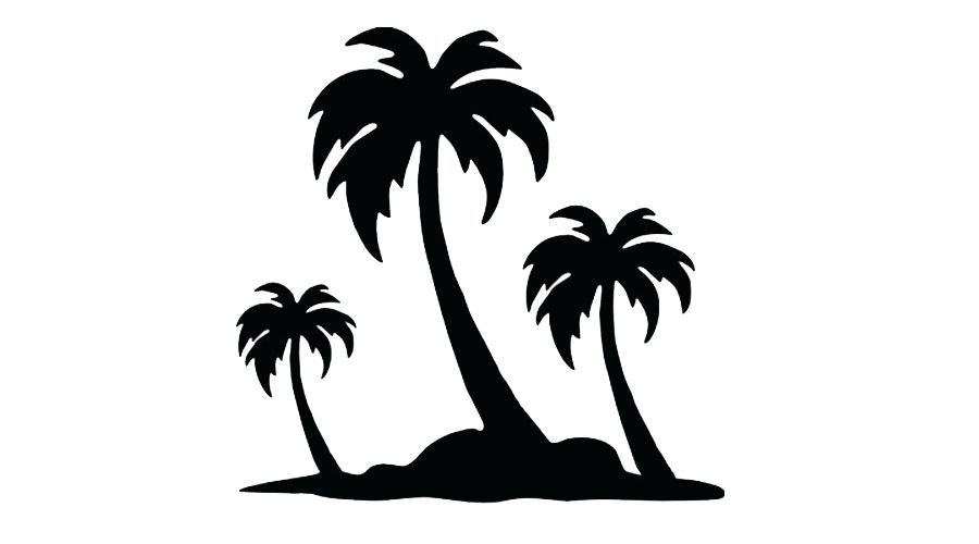 900x500 Palm Drawing How To Draw A Palm Tree Palm Drawing Easy