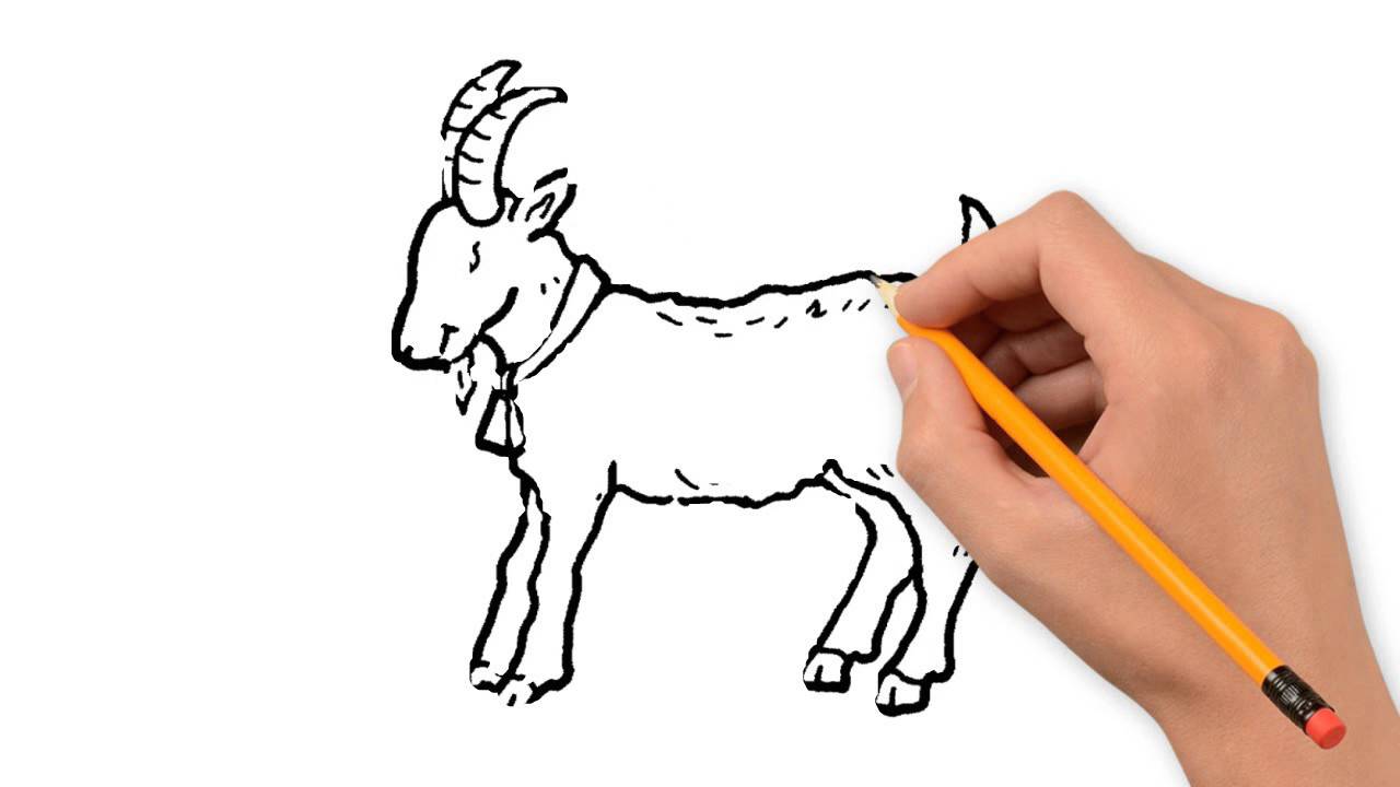 1280x720 Goat Animals Pencil To Draw Step