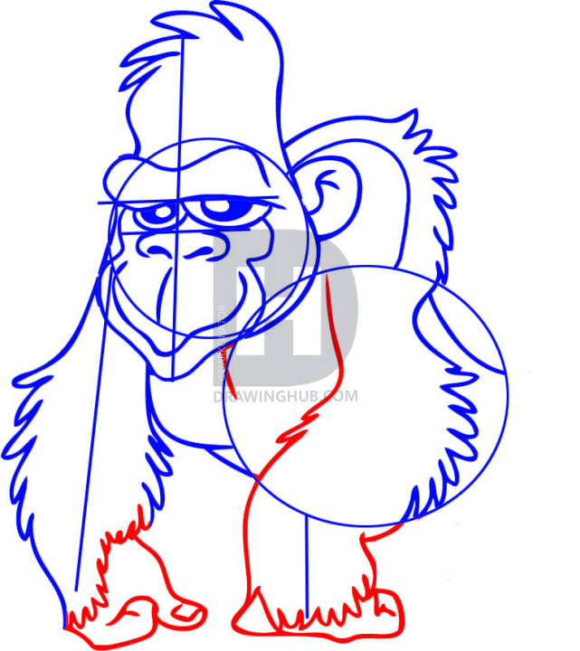 641x720 how to draw a gorilla, cartoon gorilla, step