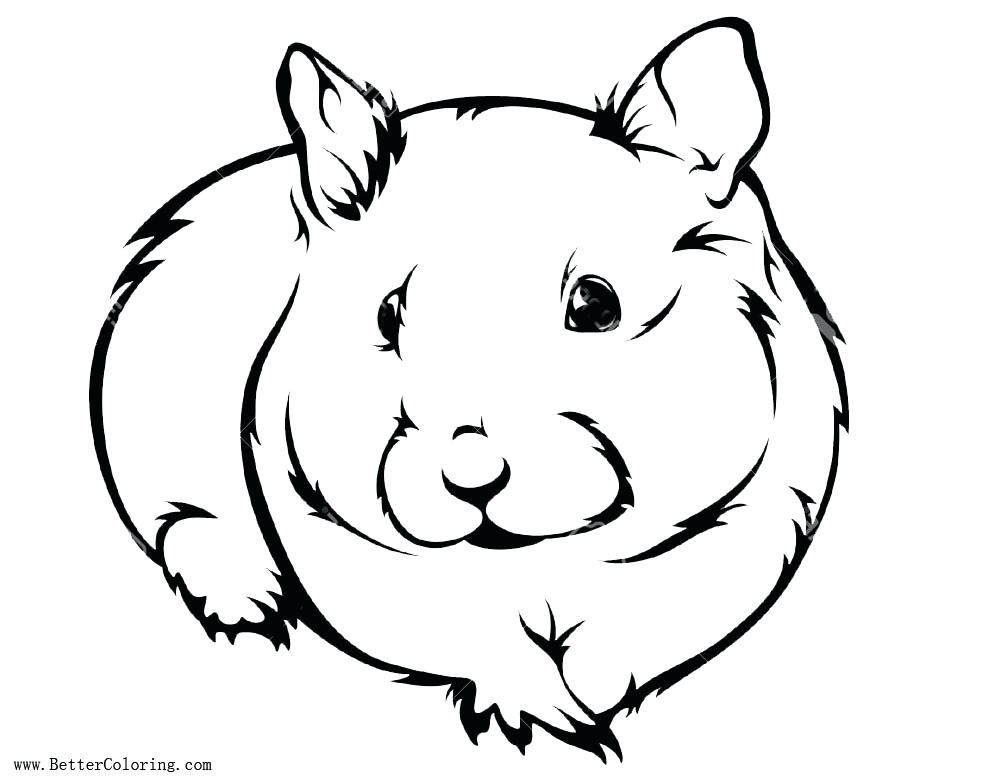 Easy Hamster Drawing