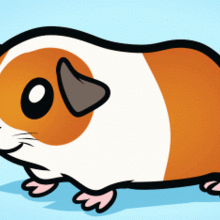 220x220 How To Draw How To Draw A Guinea Pig For Kids