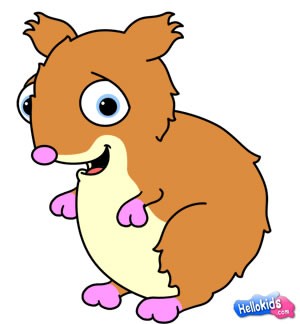 300x324 How To Draw How To Draw A Hamster