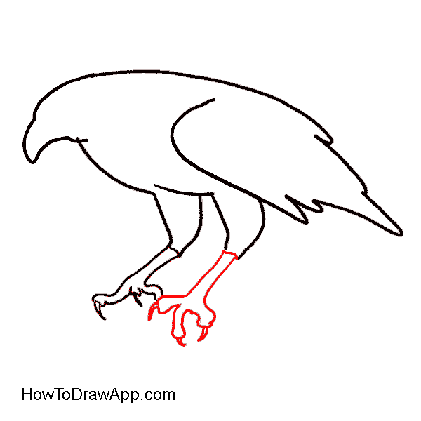 600x600 Drawing Eagles Simple Transparent Png Clipart Free Download