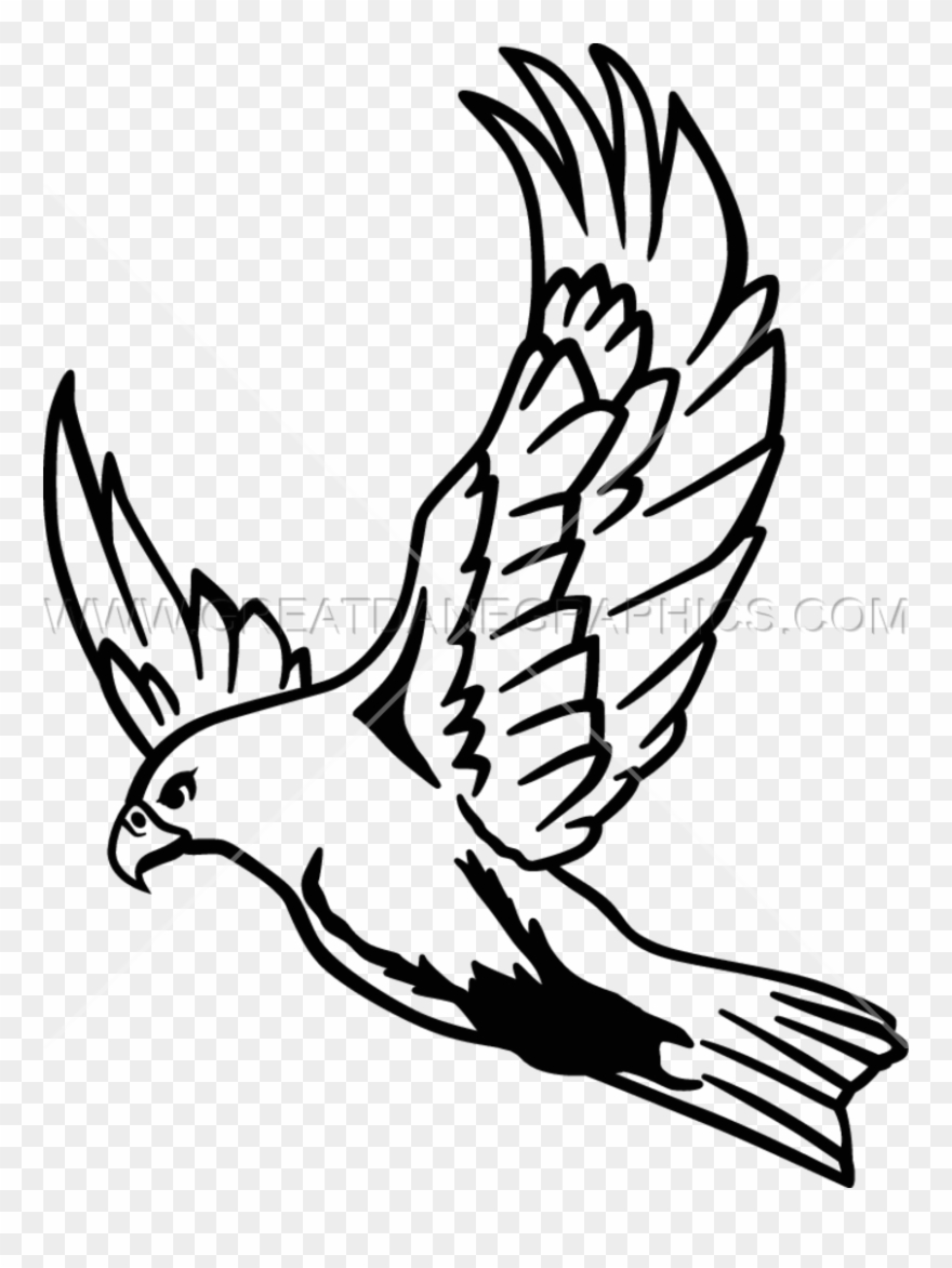880x1172 Flying Falcon Drawing Easy Clipart